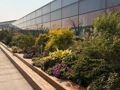 -上海嘉里健身Kerry Sports Shanghai