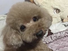 -美联众合24小时·皮肤科·外科·全科诊疗中心(华苑分院)