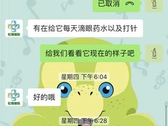 -雨林宠物医院 非犬猫异宠专科
