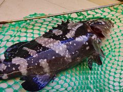 -鑫鸿达·海鲜闽菜热炒小馆(中山路店)