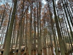 -东湖落雁景区
