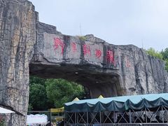 -合肥野生动物园