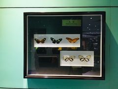 -上海昆虫博物馆