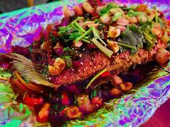 -Famous肥猫墨西哥音乐餐吧(五棵松华熙LIVE店)