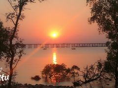 -宝安西湾红树林湿地公园