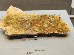 -湖南省地质博物馆