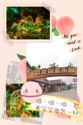 -恐龙探索乐园(磁器口店)