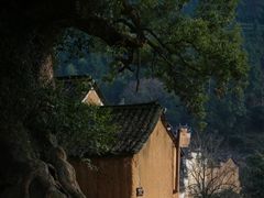 -杨家堂村