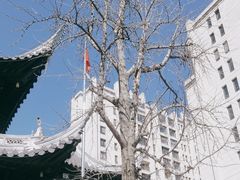 -上海白云观