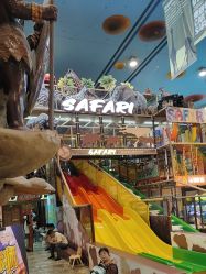 -卡通尼·Safari非洲探索乐园·生日会(金桥国际商业广场店)