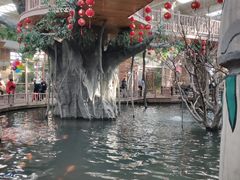 -南宫五洲植物乐园