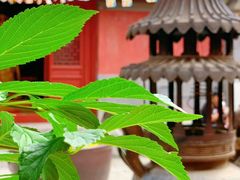 -北京上方山国家森林公园