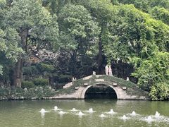 -绮园景区