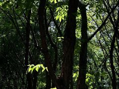 -长春市南湖公园