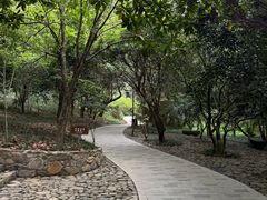 -东明山森林公园