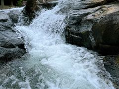 -广州白江湖森林公园