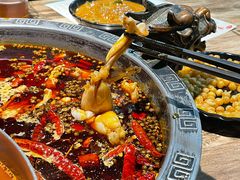 美蛙-销魂美蛙鱼头火锅(上海首店)