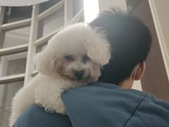 -芭比堂动物医院广州顽皮分院