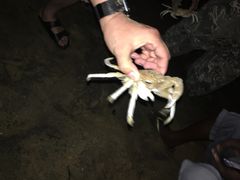 -Green Lobster Waskaduwa Seafood Restaurant