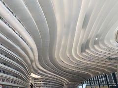 -贝林大翅鲸简餐厅(国家海洋博物馆店)