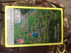 -呀诺达热带雨林
