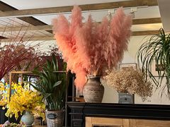 -春暖花开(西溪店)
