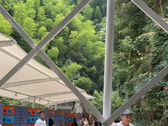 -将军关探险漂流