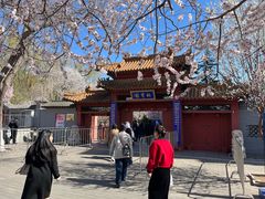 -桃花堤公园