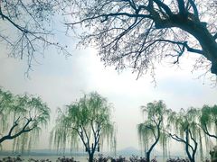 -浙江省博物馆(孤山馆区)