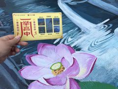 -东北大学附属辽宁爱尔眼科医院