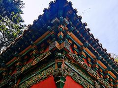 -北陵公园