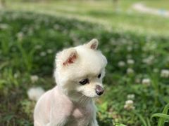 -白鹭湾湿地公园