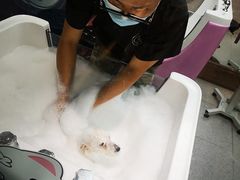 -FAELING PETS美天灵宠物(富力广场店)