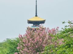 -东湖磨山景区