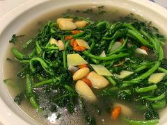 上汤西洋菜-朱仔记食府(江南大道店)