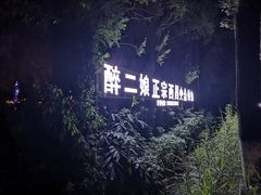 -醉二娘正宗西昌火盆烧烤(大丰店)