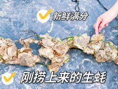 -温岭石塘海边