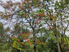 -中国移动南方基地