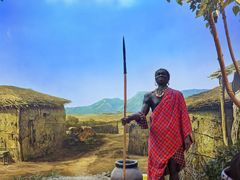 -国家自然博物馆