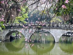 -柳侯公园