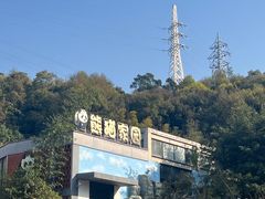 -泉州海丝野生动物世界