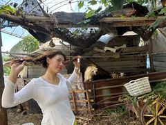 -马陆小张葡萄园农家乐