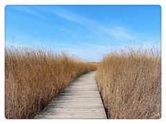 -野鸭湖国家湿地公园