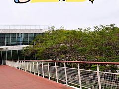 -三妹小龙虾·黄油蟹(华侨城总店)