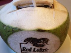 -Red Lobster