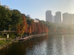 -重庆彩云湖湿地公园