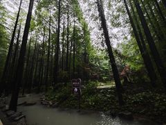 -山王坪喀斯特国家生态公园