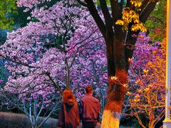 -白塘生态植物园