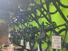 -道路口单车爱瓦士dahon大行