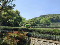 -中国茶叶博物馆(双峰馆区)